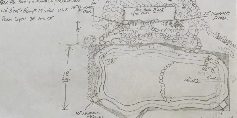Why Choose Paradise Ponds and Falls? - Pool to Pond
